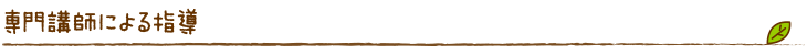 専門講師による指導